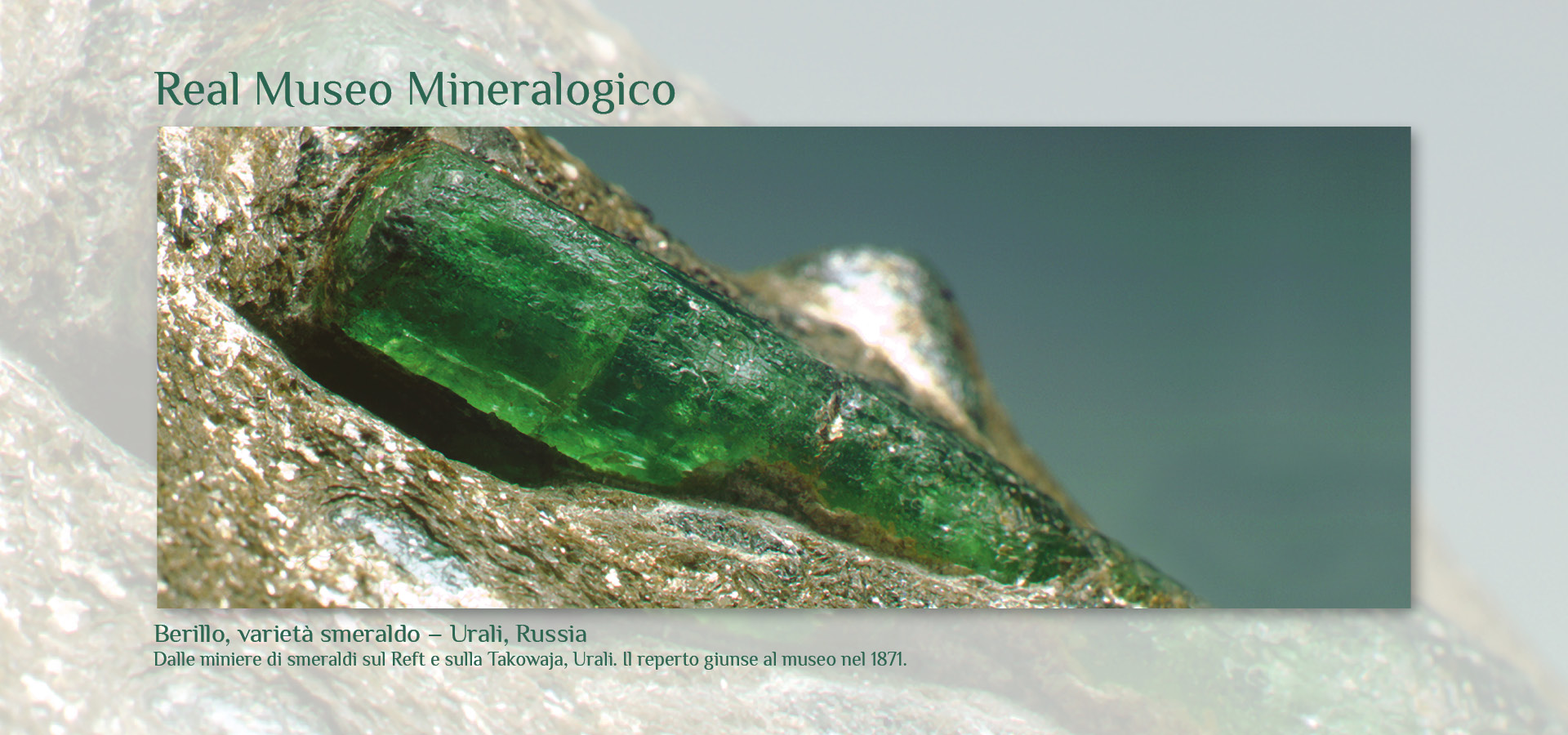 Real Museo Mineralogico
