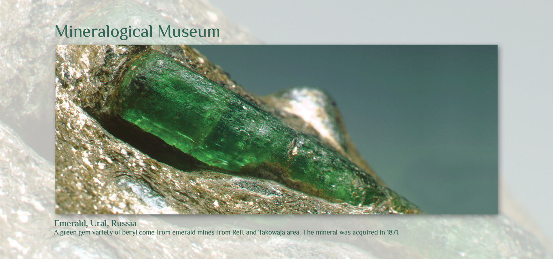 Mineralogical Museum